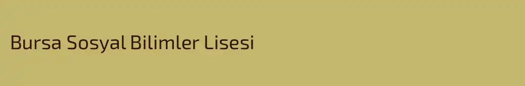Bursa Sosyal Bilimler Lisesi